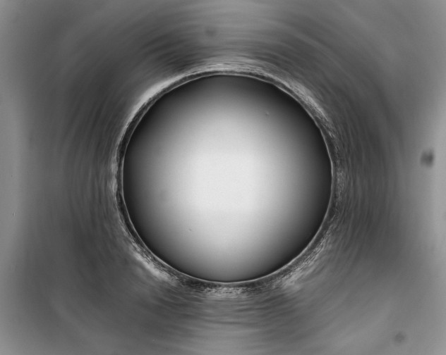 X0000099510846200805291147