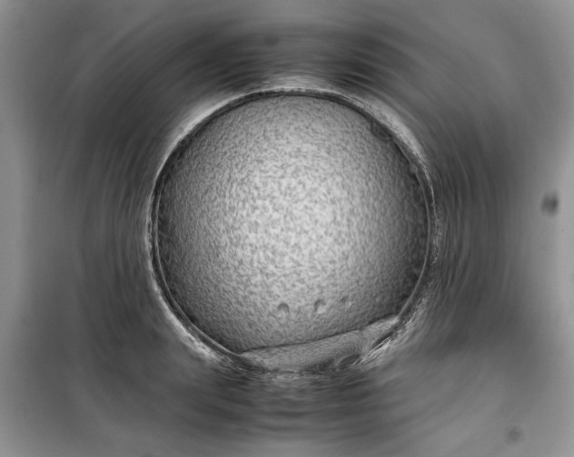 X0000099510847200805291147