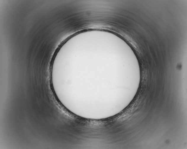 X0000099510848200805291147