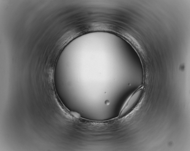 X0000099510849200805291148