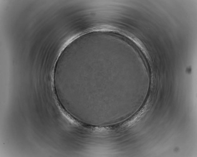 X0000099510850200805291148