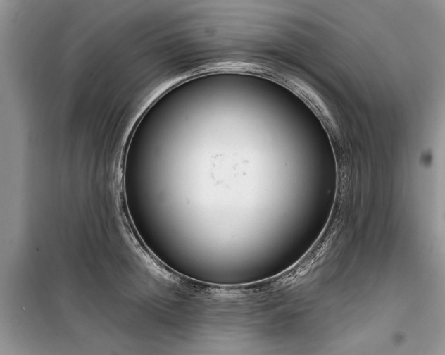 X0000099510852200805291148