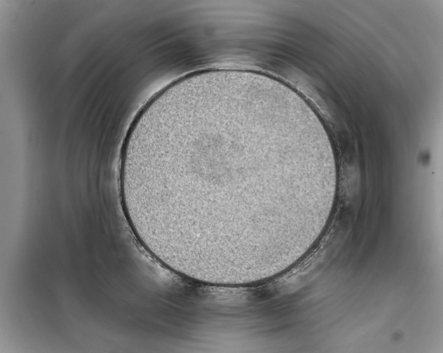 X0000099510856200805291148