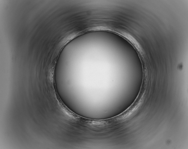 X0000099510857200805291148