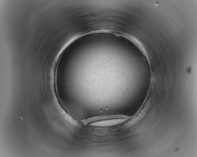 X0000099510859200805291148