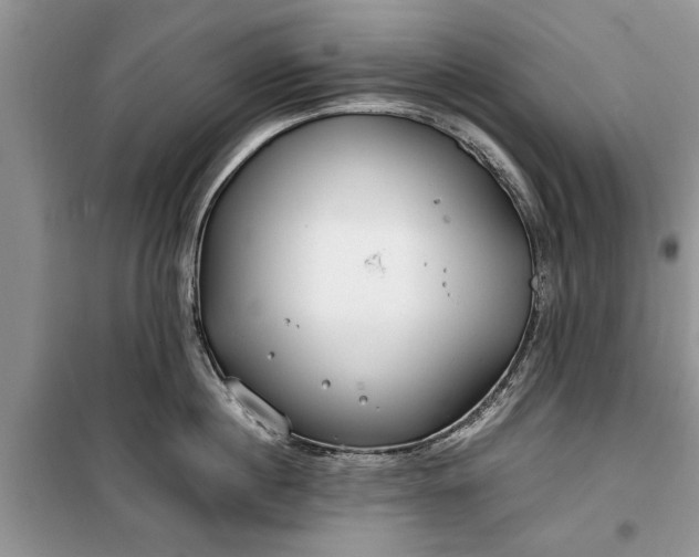 X0000099510860200805291148