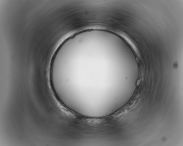 X0000099510861200805291148