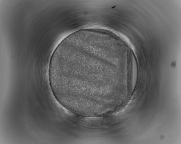 X0000099510863200805291148