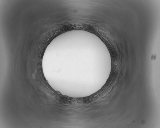 X0000099510865200805291147