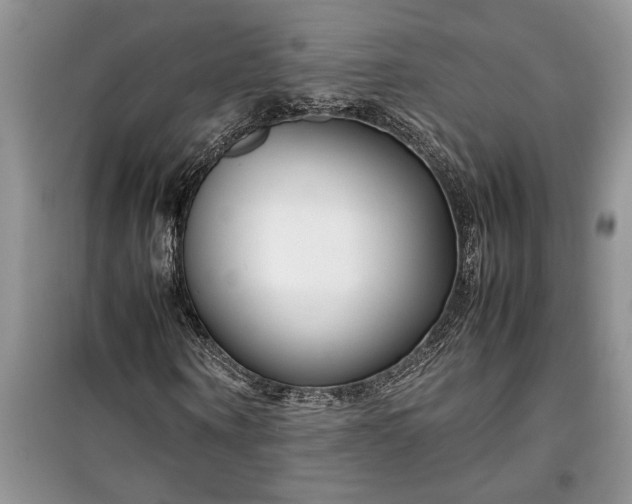 X0000099510866200805291147