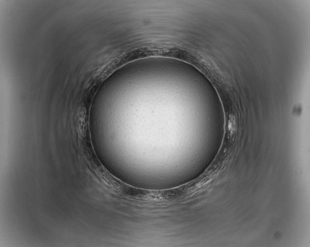 X0000099510867200805291147