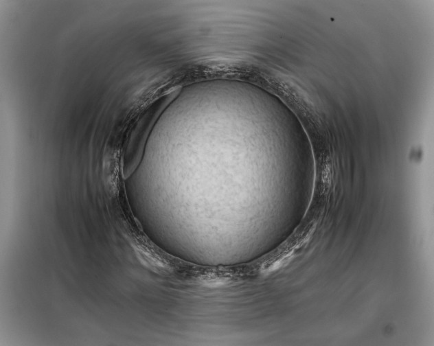 X0000099510868200805291147