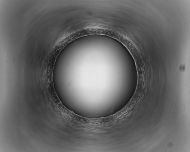 X0000099510870200805291147