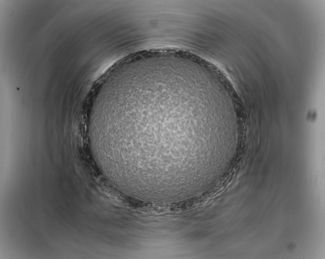 X0000099510871200805291147