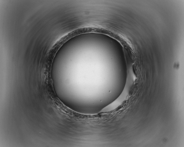 X0000099510872200805291147