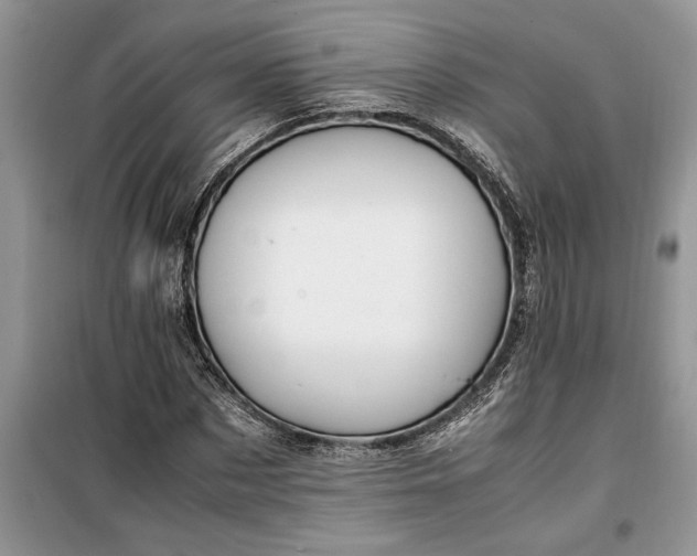 X0000099510873200805291147