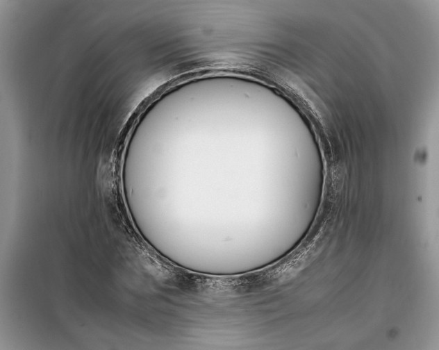 X0000099510875200805291147