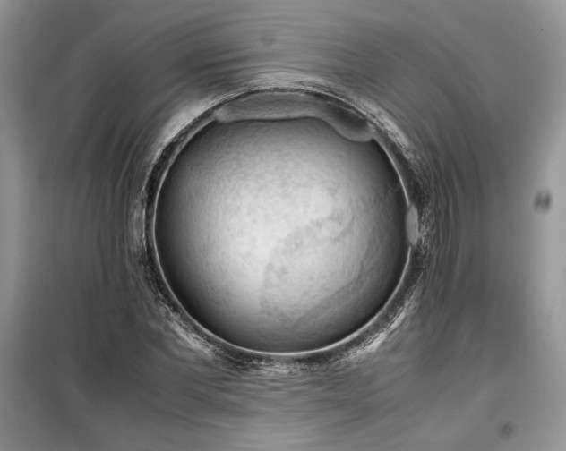 X0000099510877200805291147