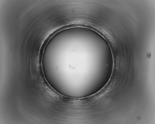 X0000099510880200805291147