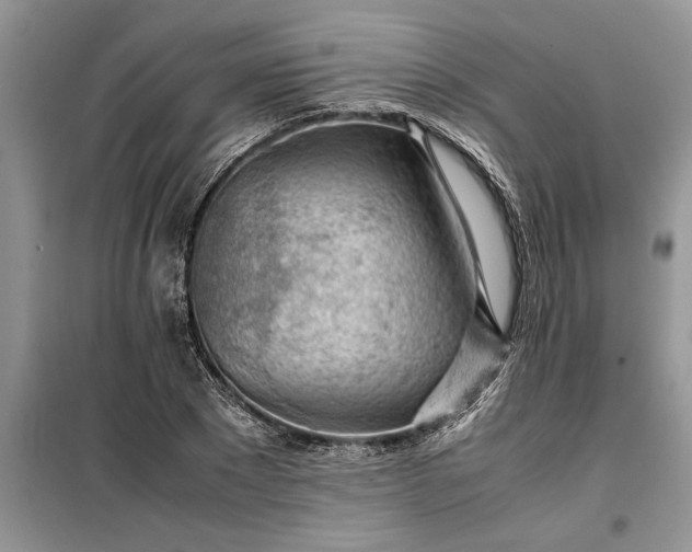 X0000099510881200805291147