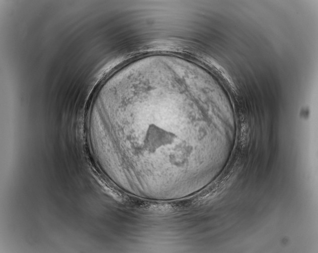 X0000099510882200805291147