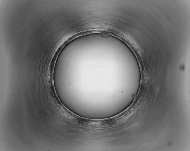 X0000099510883200805291147