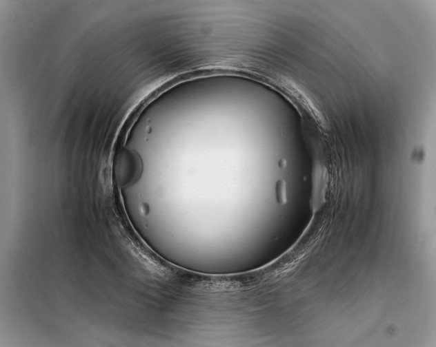 X0000099510884200805291147