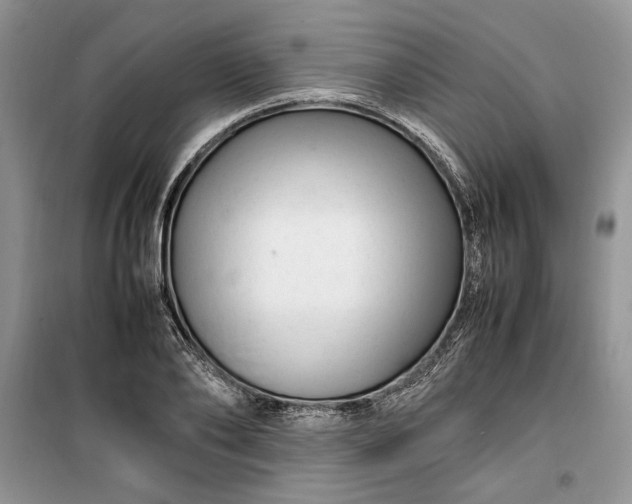 X0000099510886200805291147