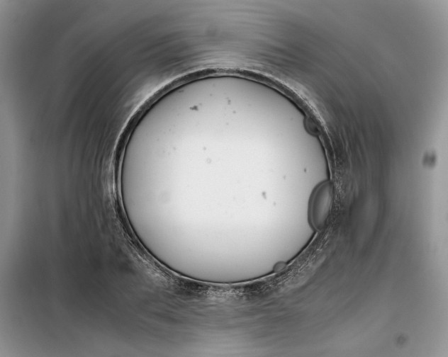 X0000099510887200805291147