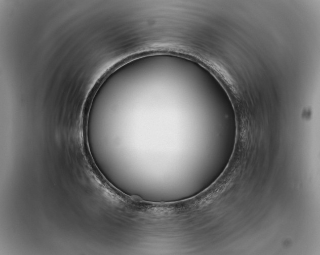 X0000099510888200805291147