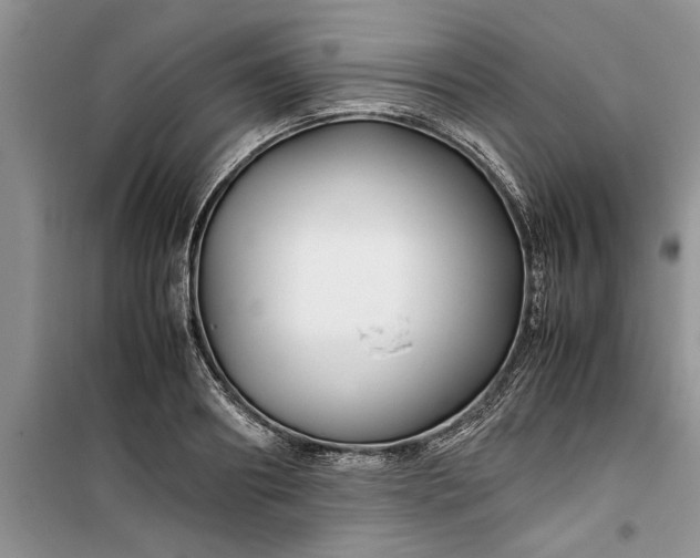 X0000099510890200805291147