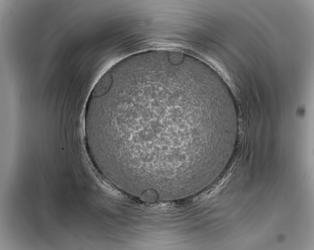 X0000099510891200805291147