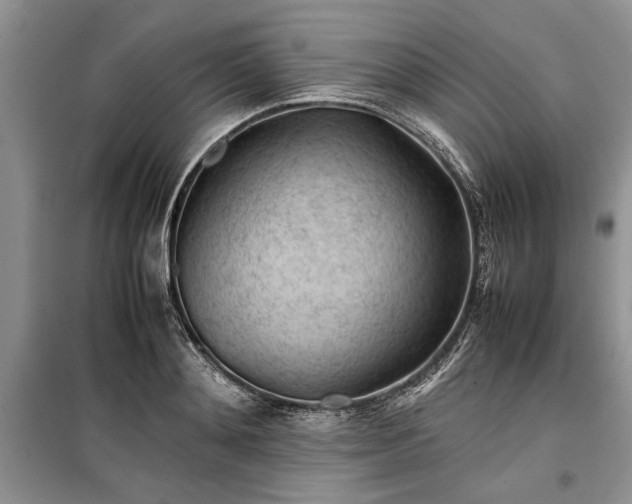 X0000099510892200805291147