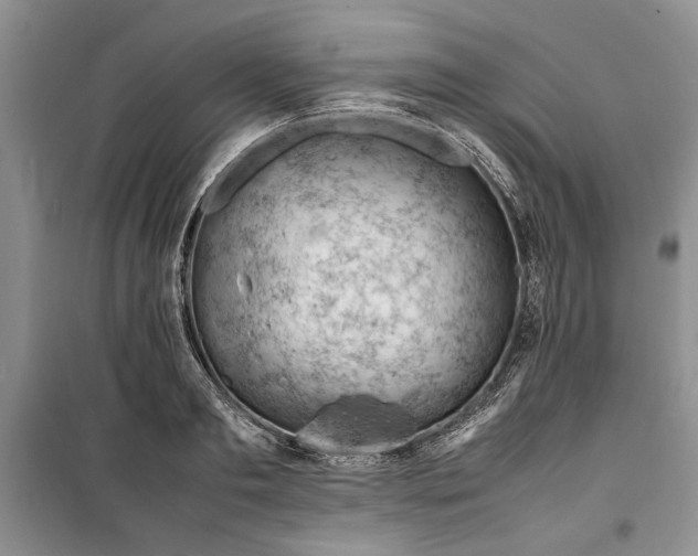 X0000099510893200805291147