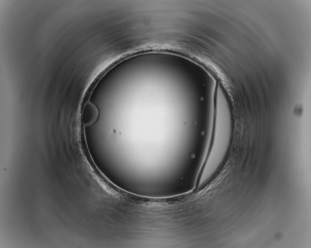 X0000099510894200805291147