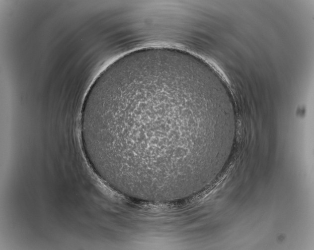 X0000099510895200805291147