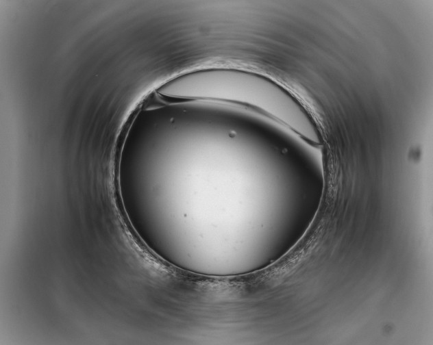 X0000099510896200805291147