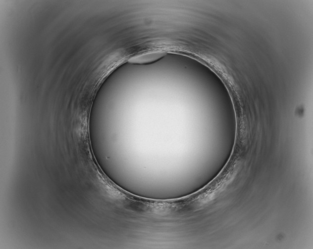 X0000099510897200805291147