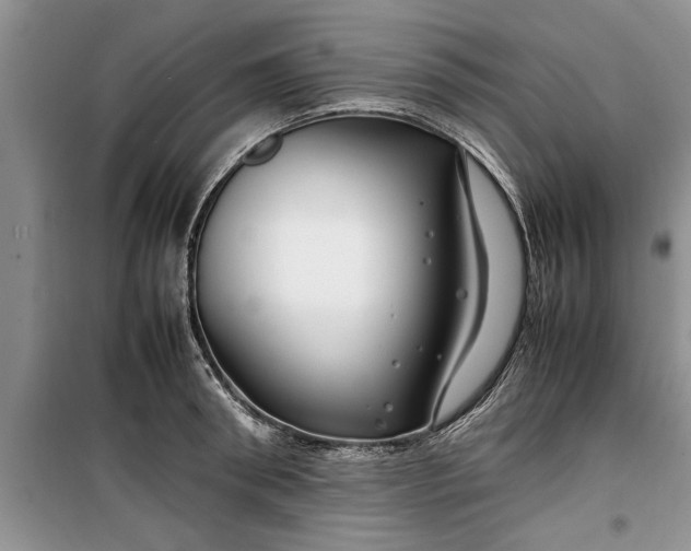 X0000099510898200805291147