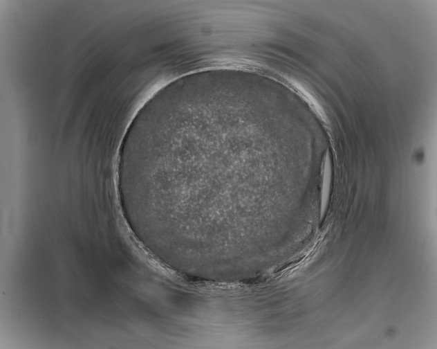 X0000099510899200805291147