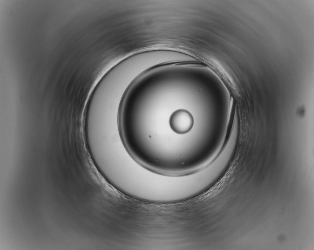 X0000099510900200805291147