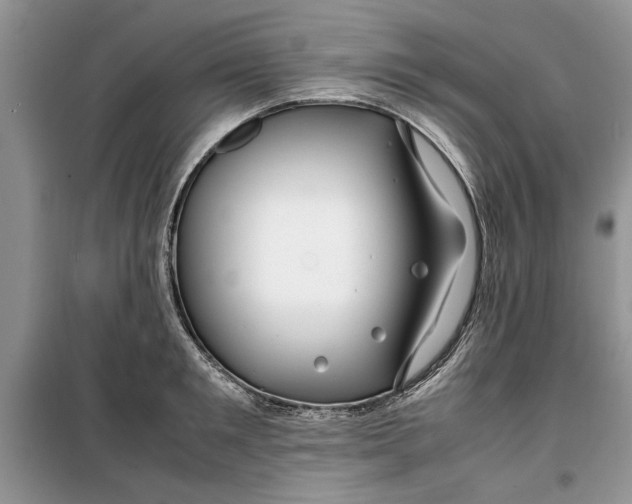 X0000099510901200805291147