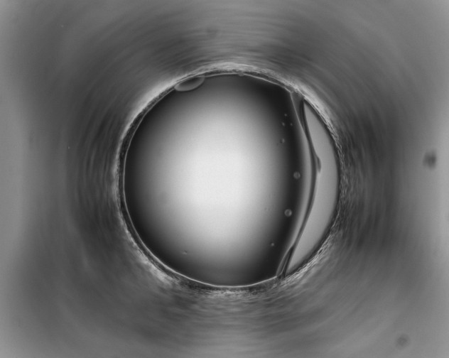 X0000099510902200805291147