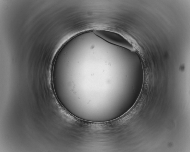 X0000099510904200805291147