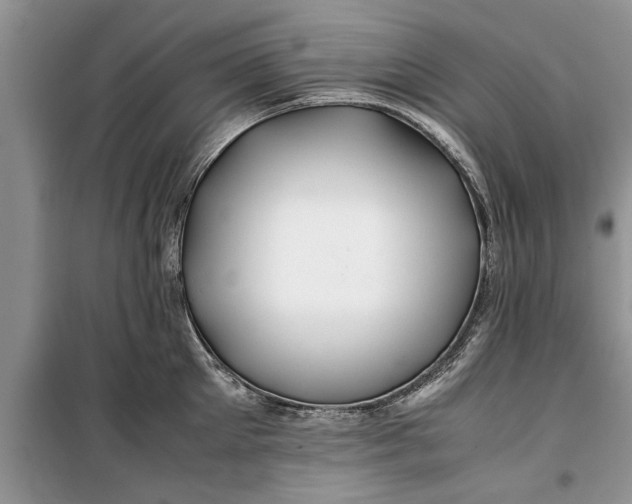 X0000099510905200805291147