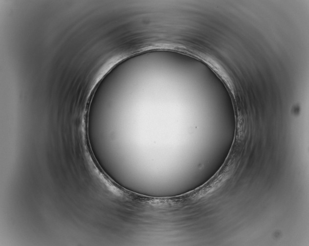 X0000099510906200805291147