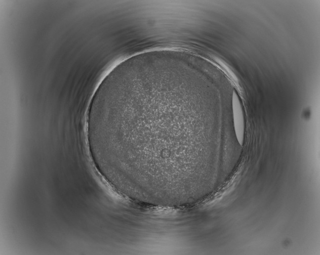 X0000099510907200805291147