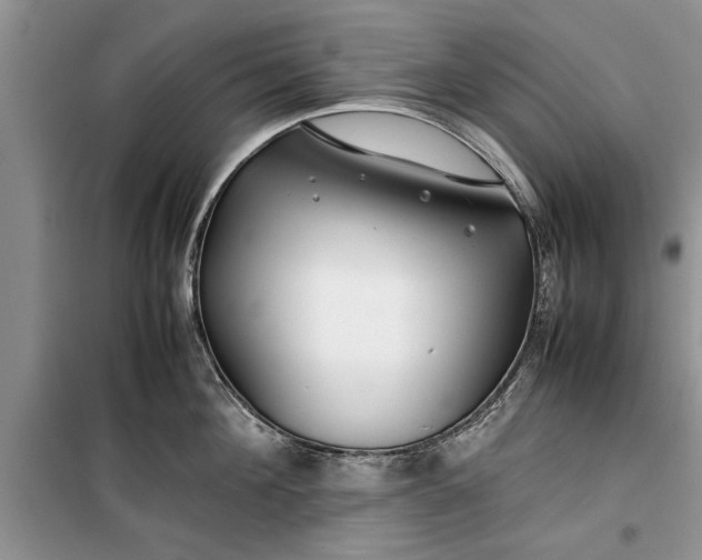 X0000099510908200805291147