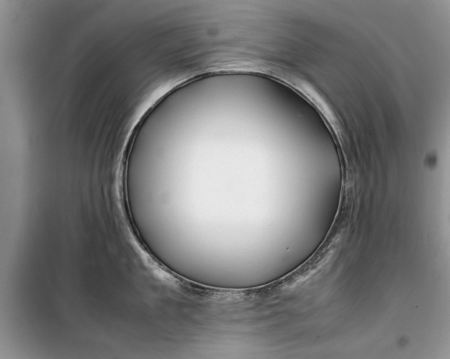 X0000099510909200805291147