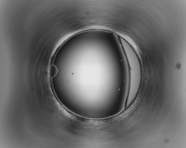 X0000099510910200805291147